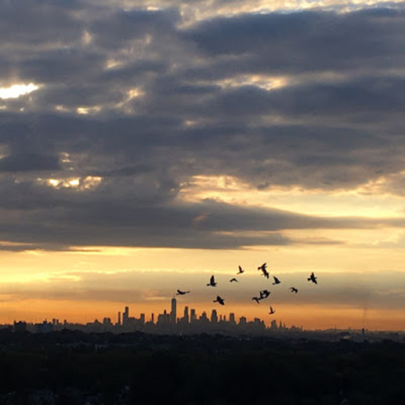 Meet your Posher, Bisola - Picture 1 of 1